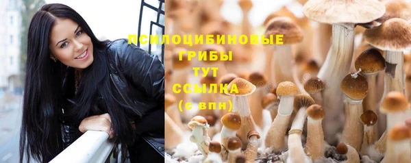 твердый Балабаново